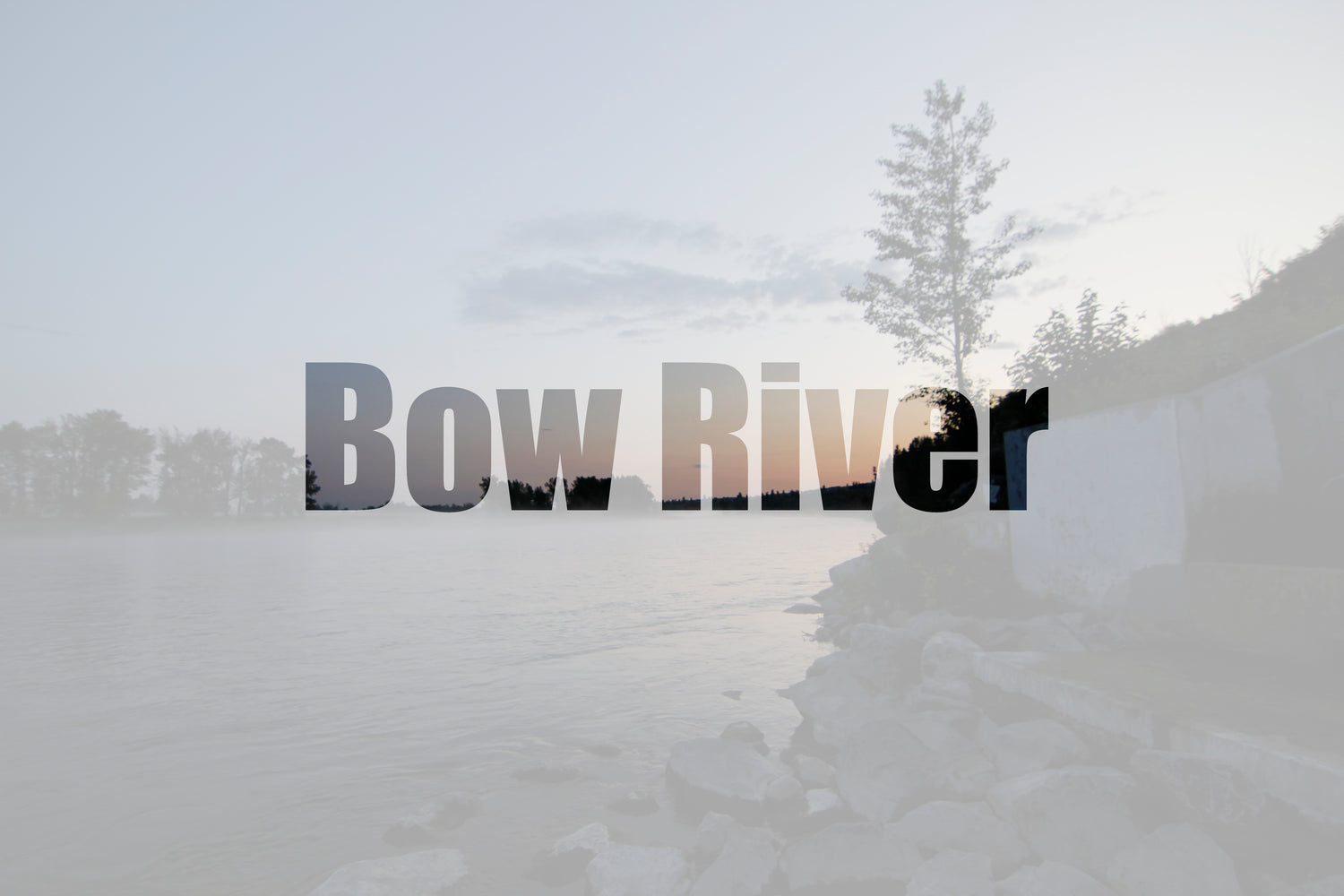 Bow River Report