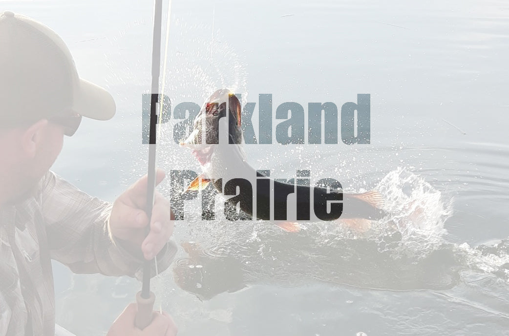 Parkland Prairie Reservoirs