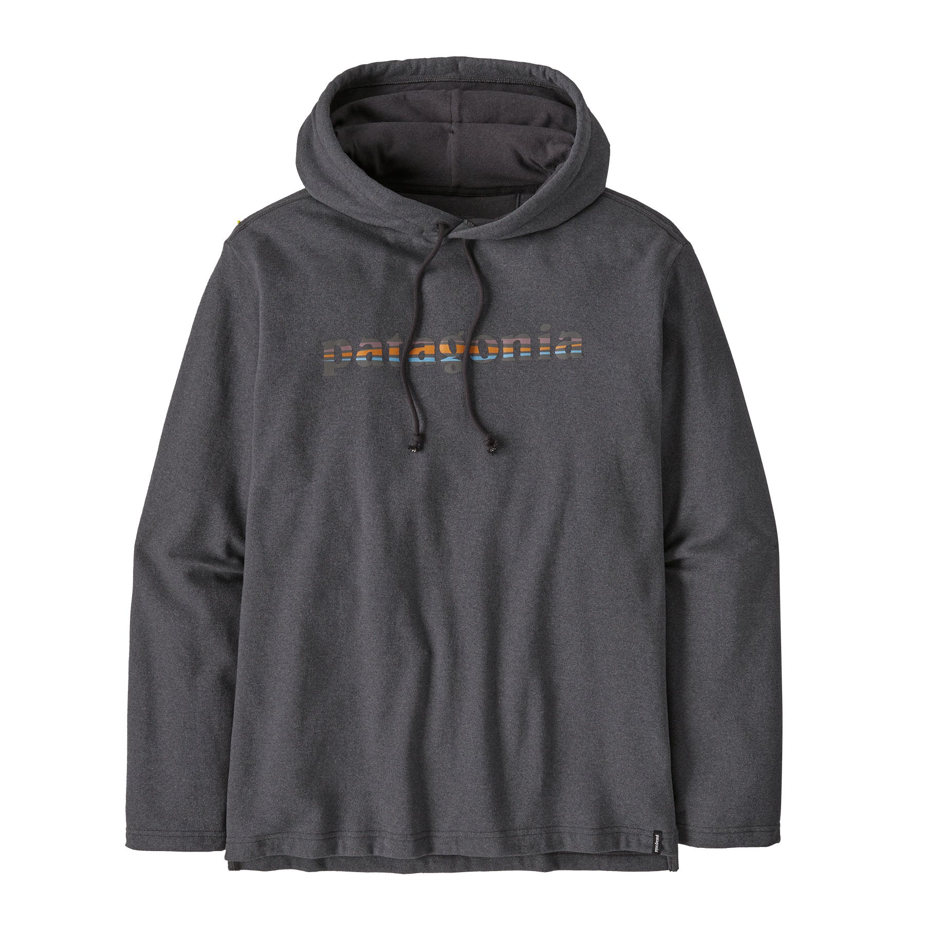 Patagonia M's LW '73 Text Logo Wildrise Hoody