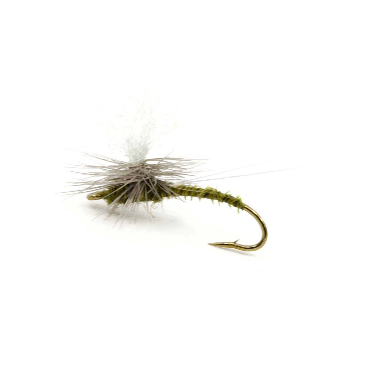 GT Adult BWO