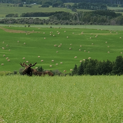 2025 Beginner Fly Fishing School