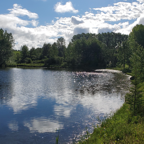 2025 Beginner Fly Fishing School