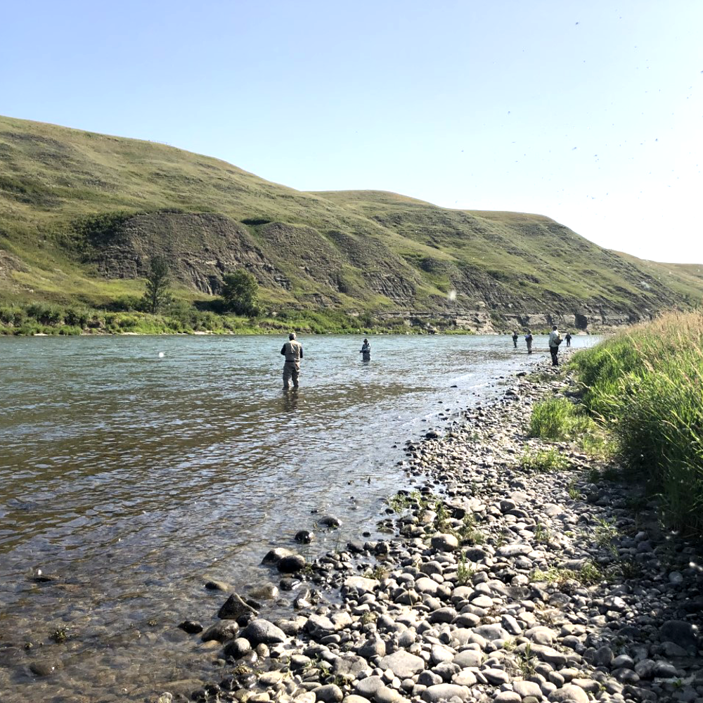 2025 Intermediate Bow River Fly Fishing School