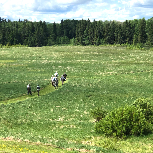 2025 Spring Creek School