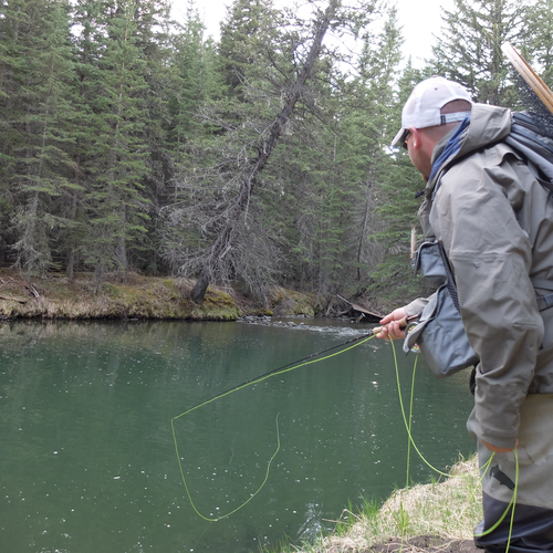 2025 Spring Creek School