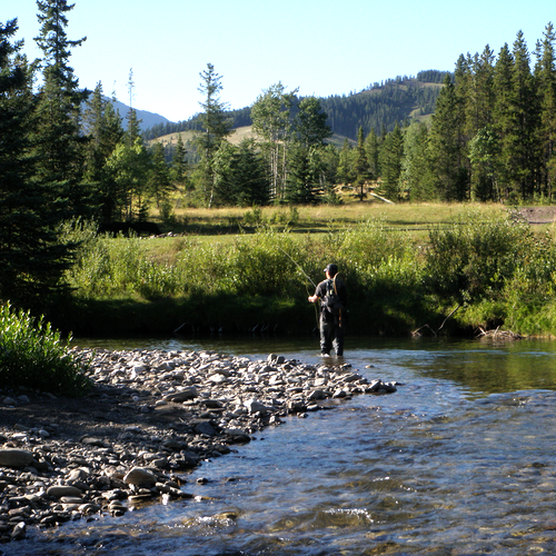 2025 Spring Creek School