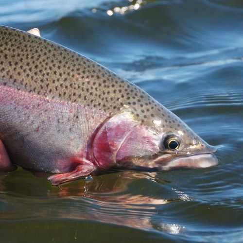 2026 Stoney Lake Stillwater School