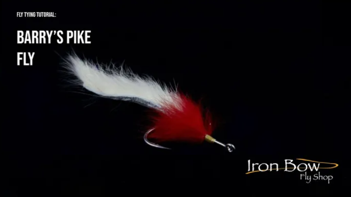 Barry's Pike Fly