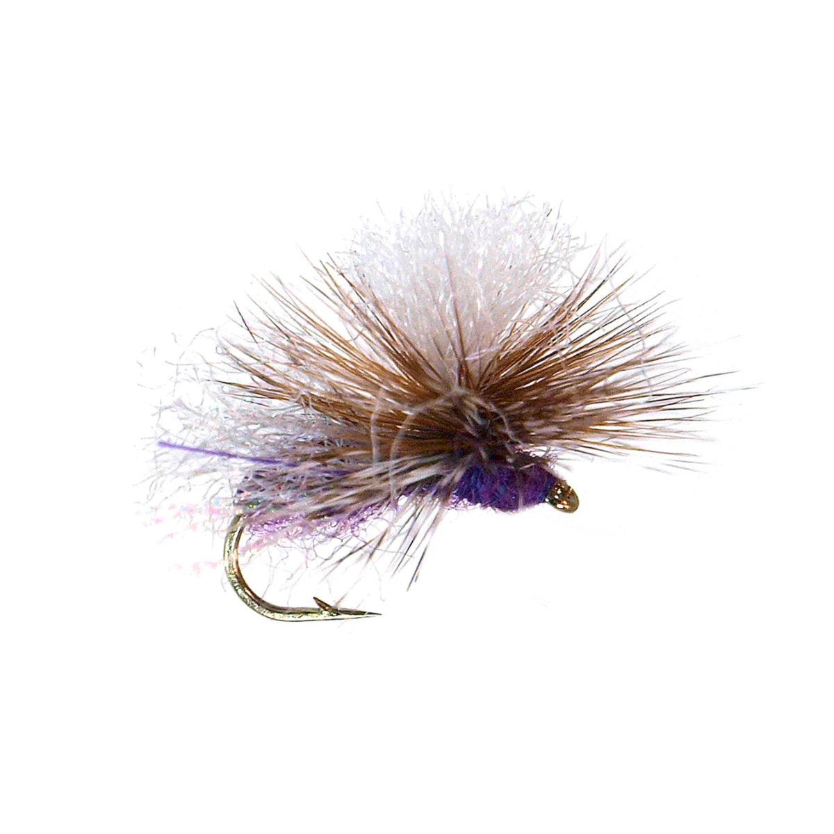 Bloom's Stealth Ant Purple
