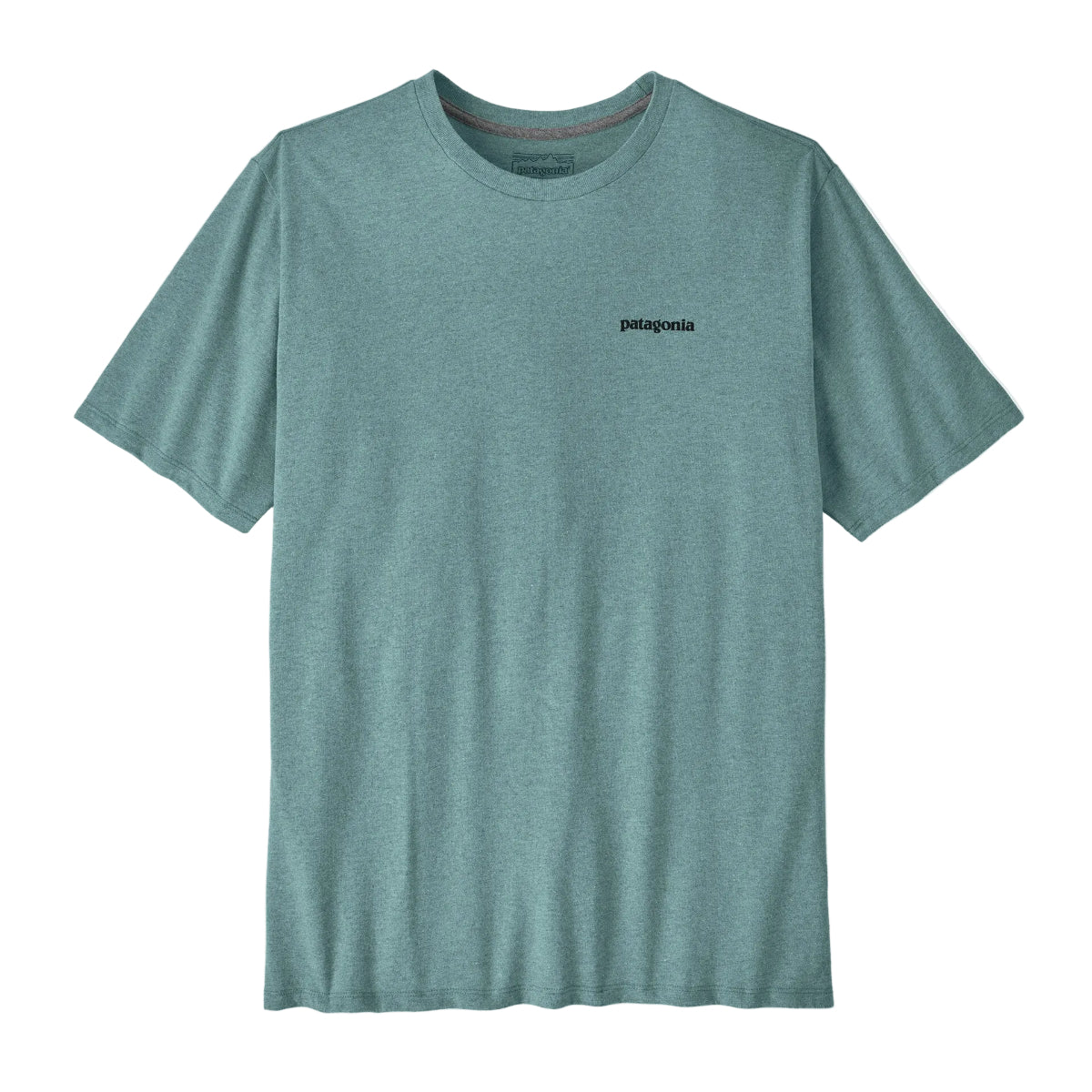 Patagonia M's Take a Stand Responsibili-Tee