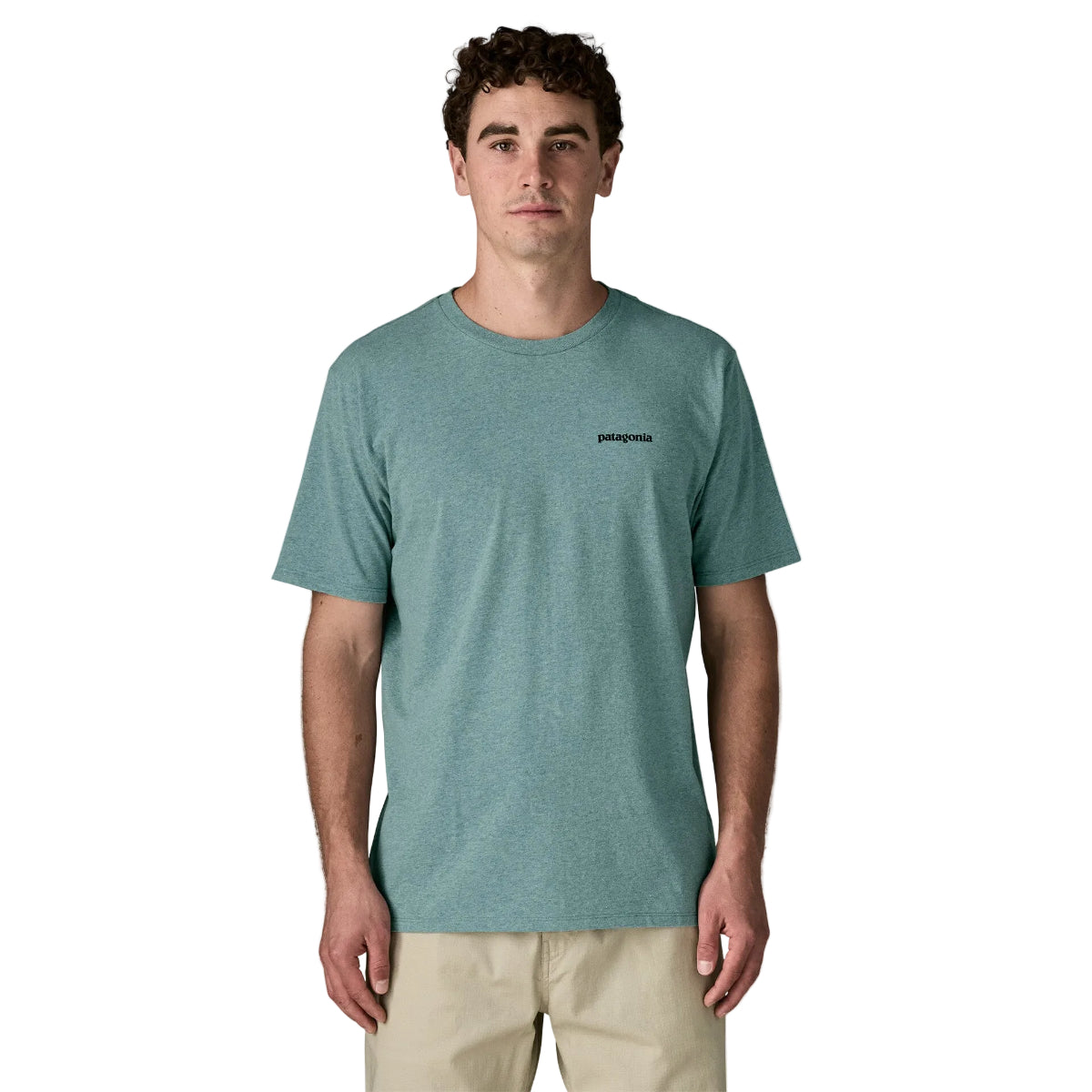 Patagonia M's Take a Stand Responsibili-Tee