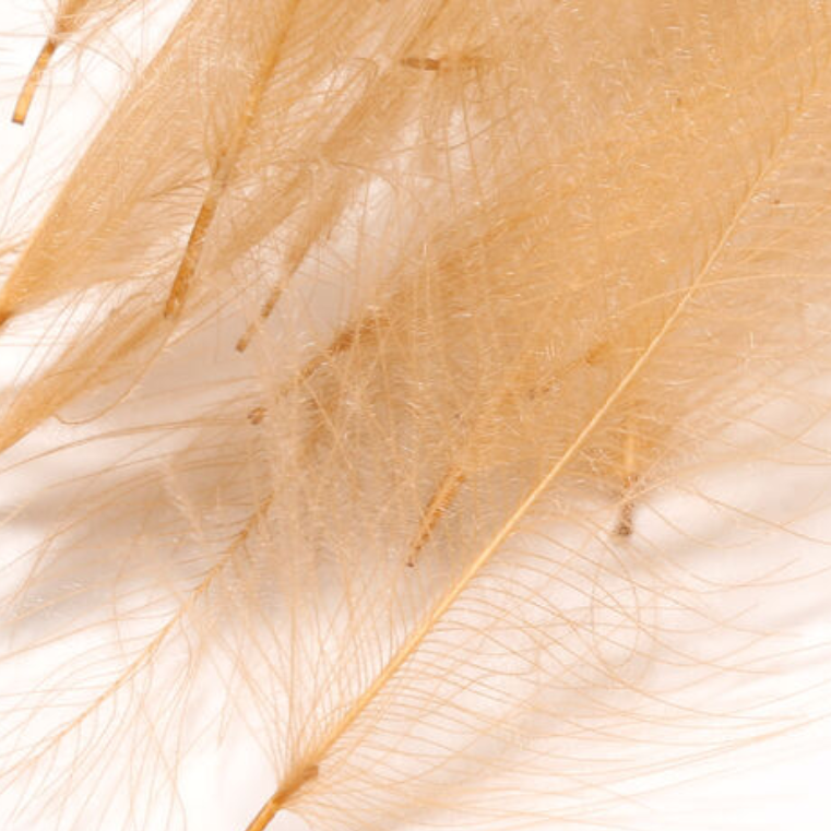 Hareline Cul De Canard 1gr