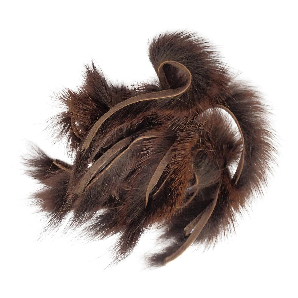 Pine Squirrel Zonker