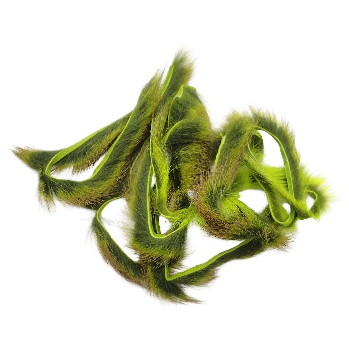 Pine Squirrel Zonker