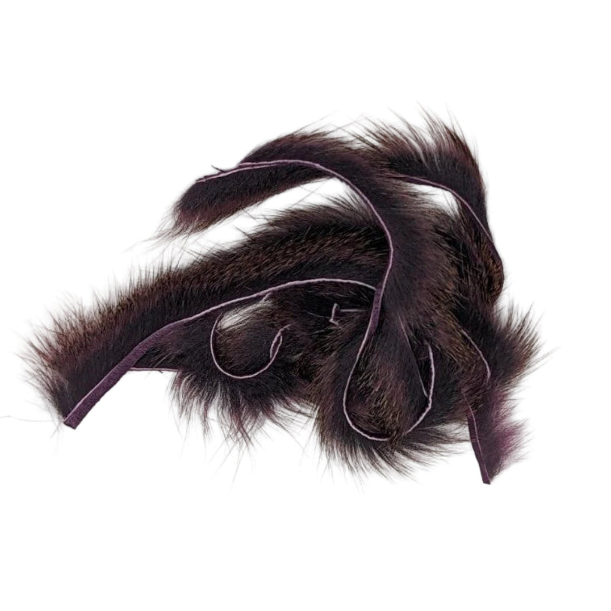 Pine Squirrel Zonker