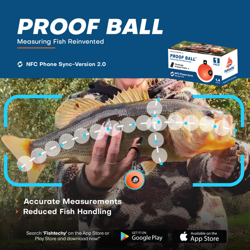 Fishtechy Proof Ball 1/4" Version 2, 1 pack