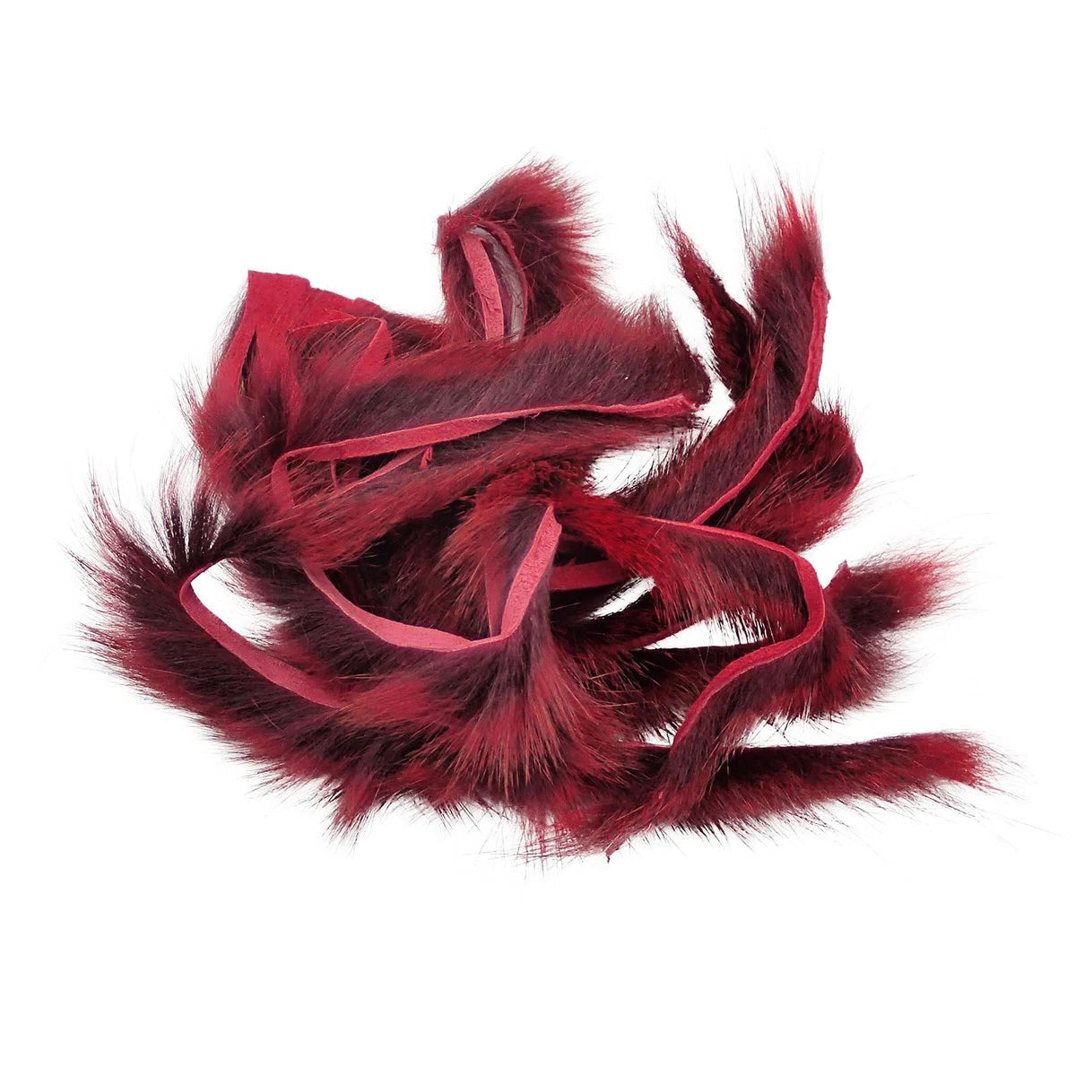 Pine Squirrel Zonker