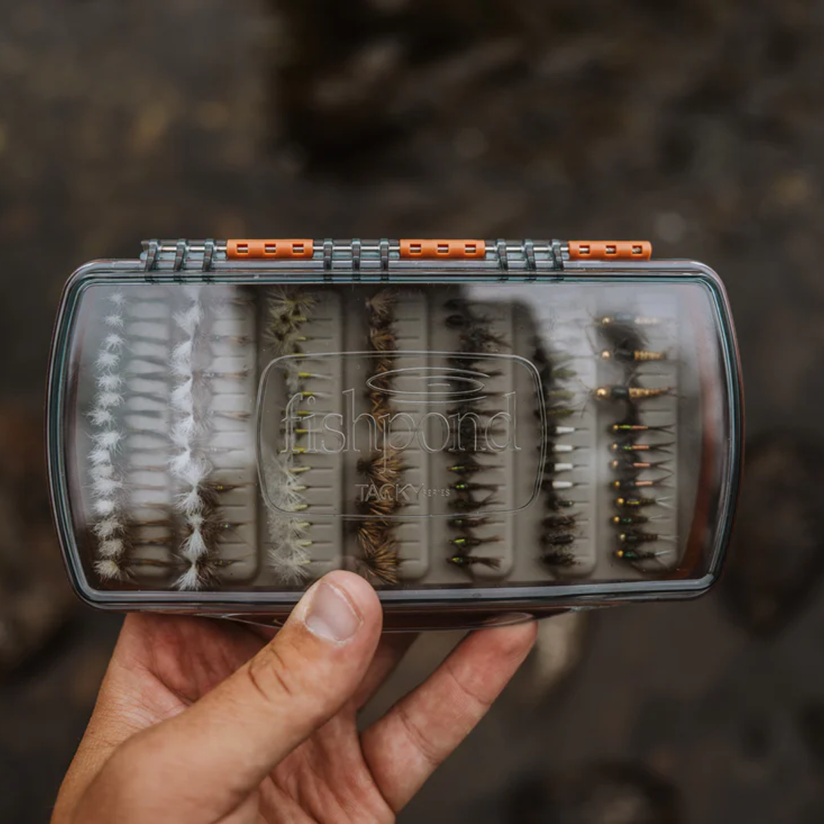 Tacky Pescador Fly Box Medium Clear