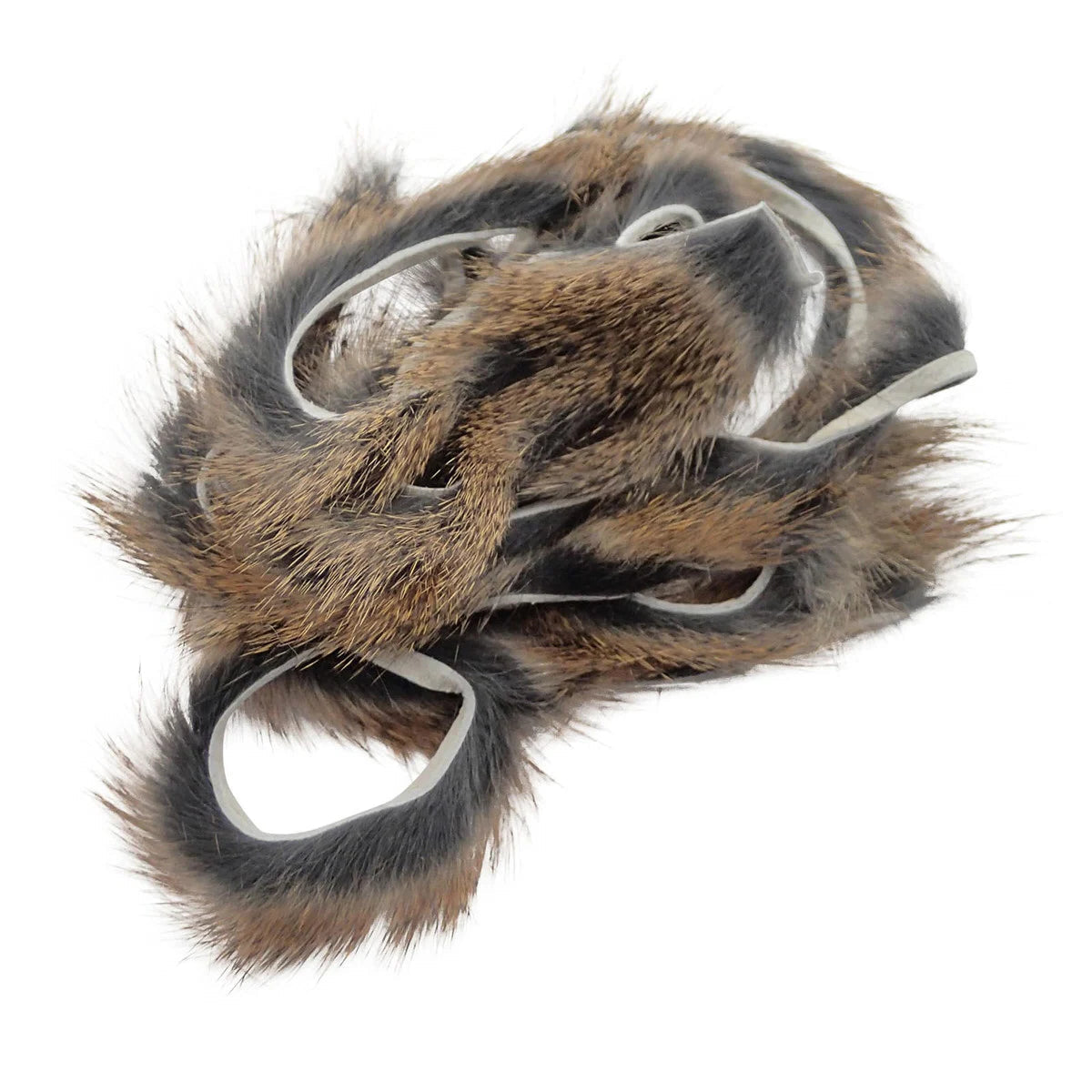 Pine Squirrel Zonker