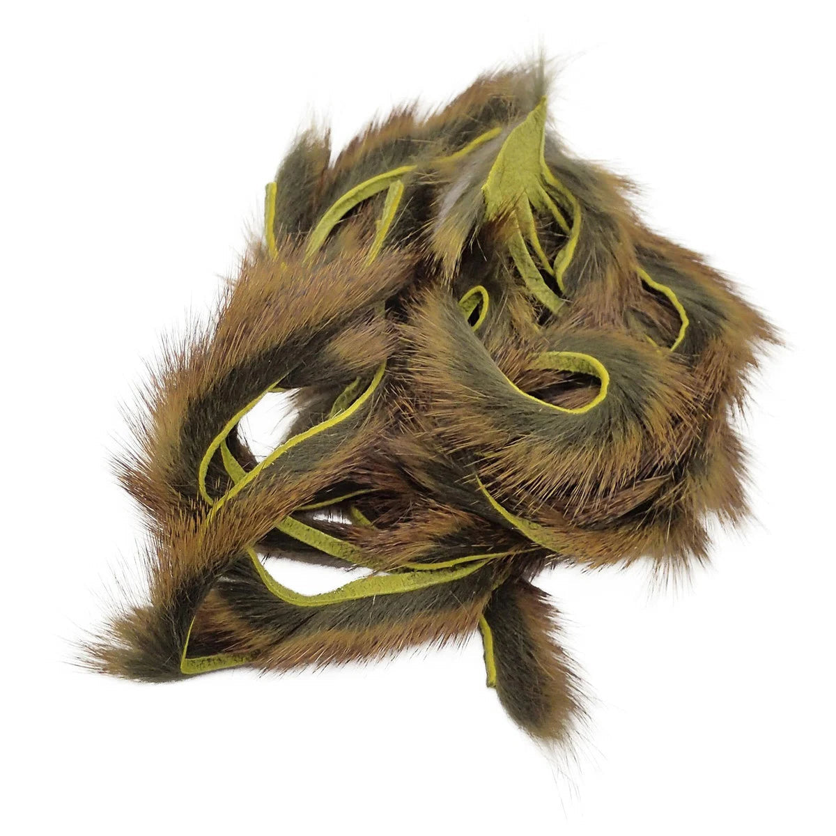 Pine Squirrel Zonker