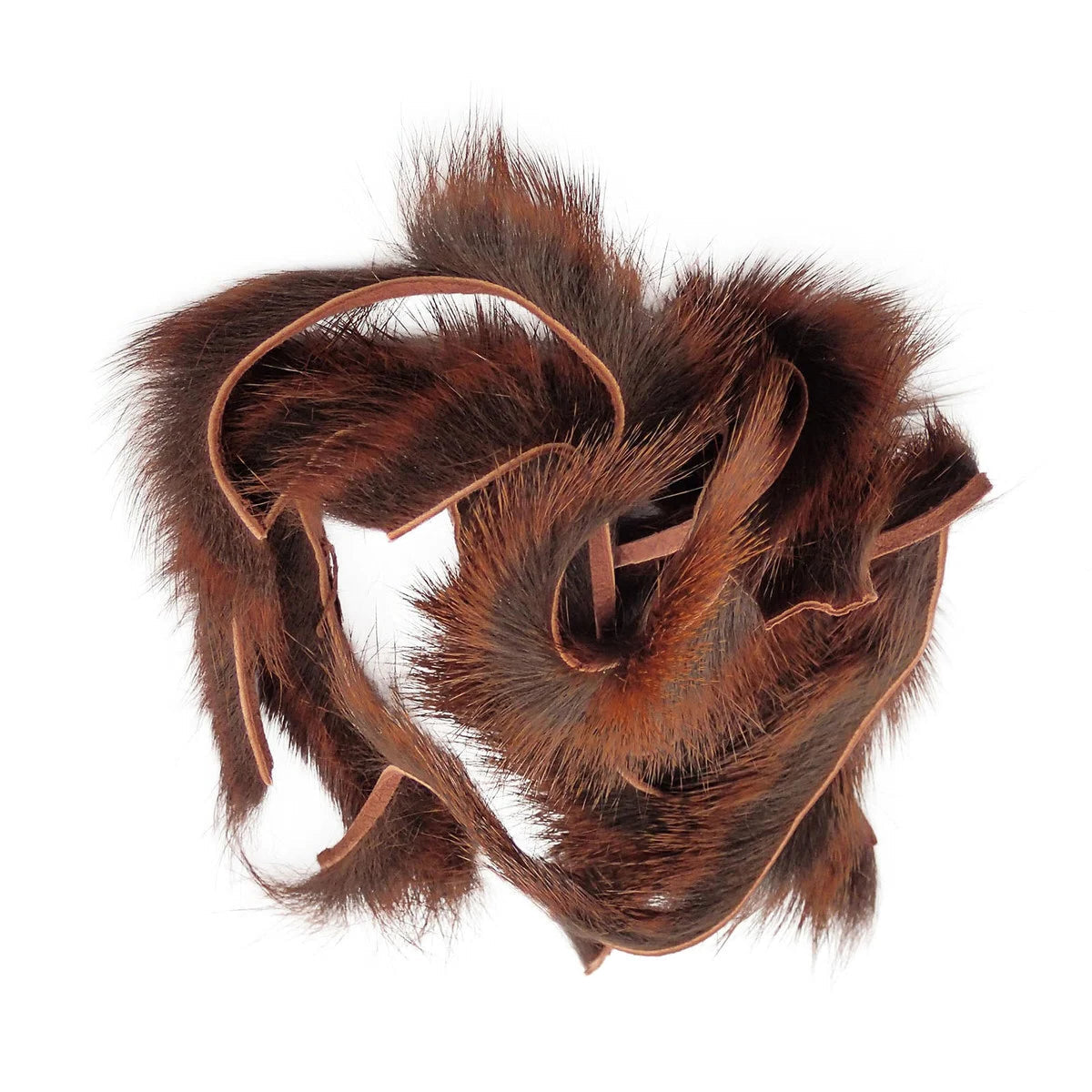 Pine Squirrel Zonker