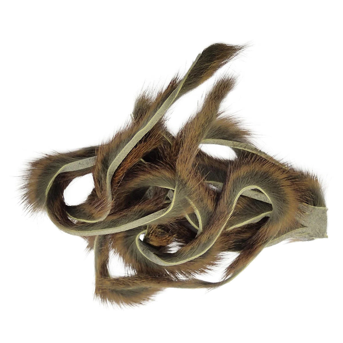 Pine Squirrel Zonker