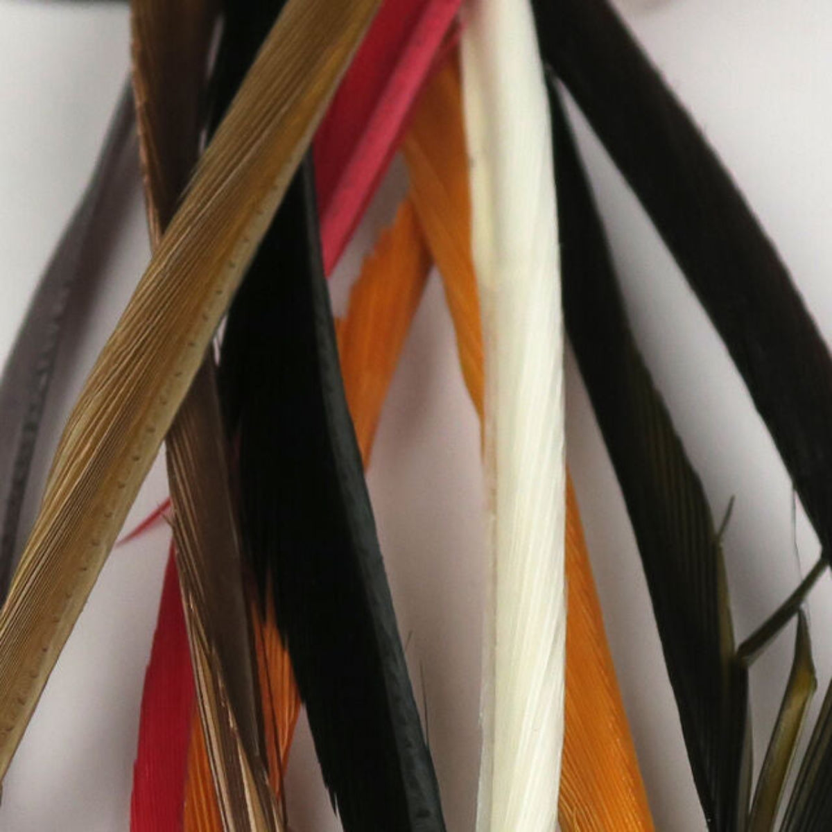 Stripped Goose Biots