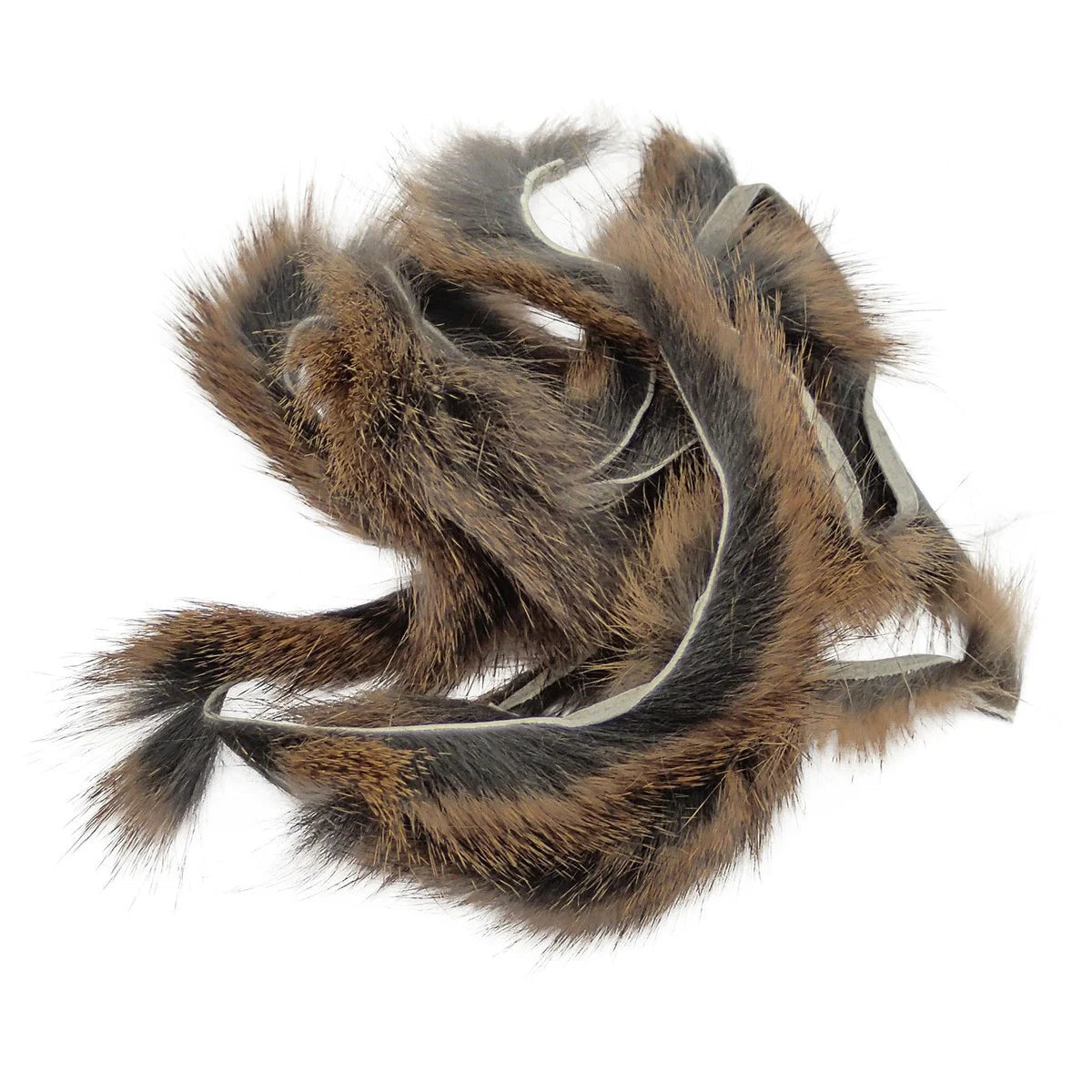 Pine Squirrel Zonker