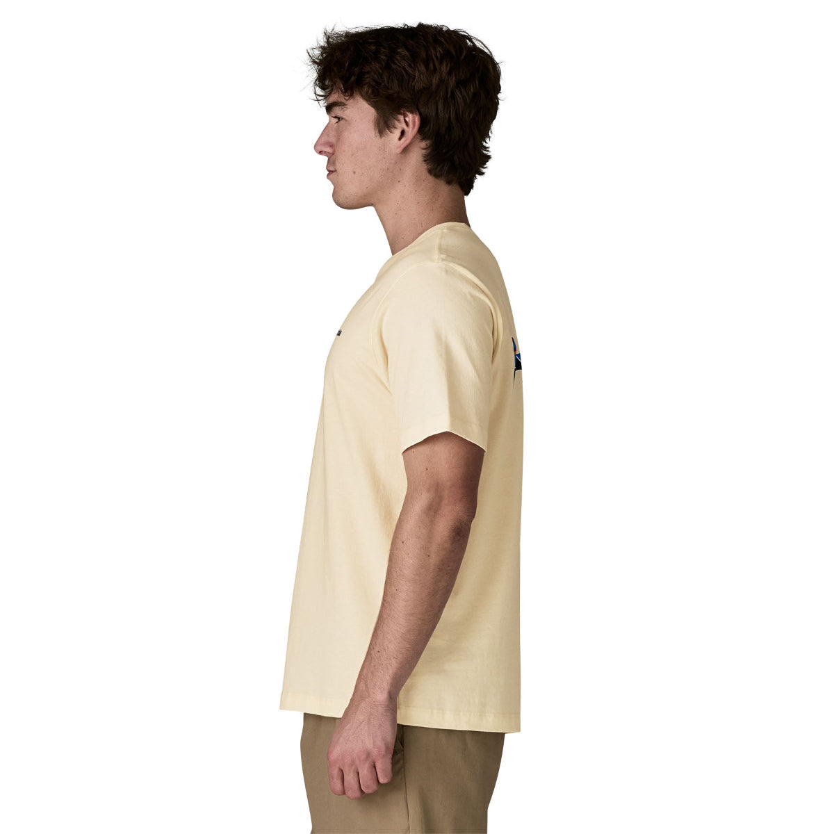 Patagonia M's Fitz Roy Trout T