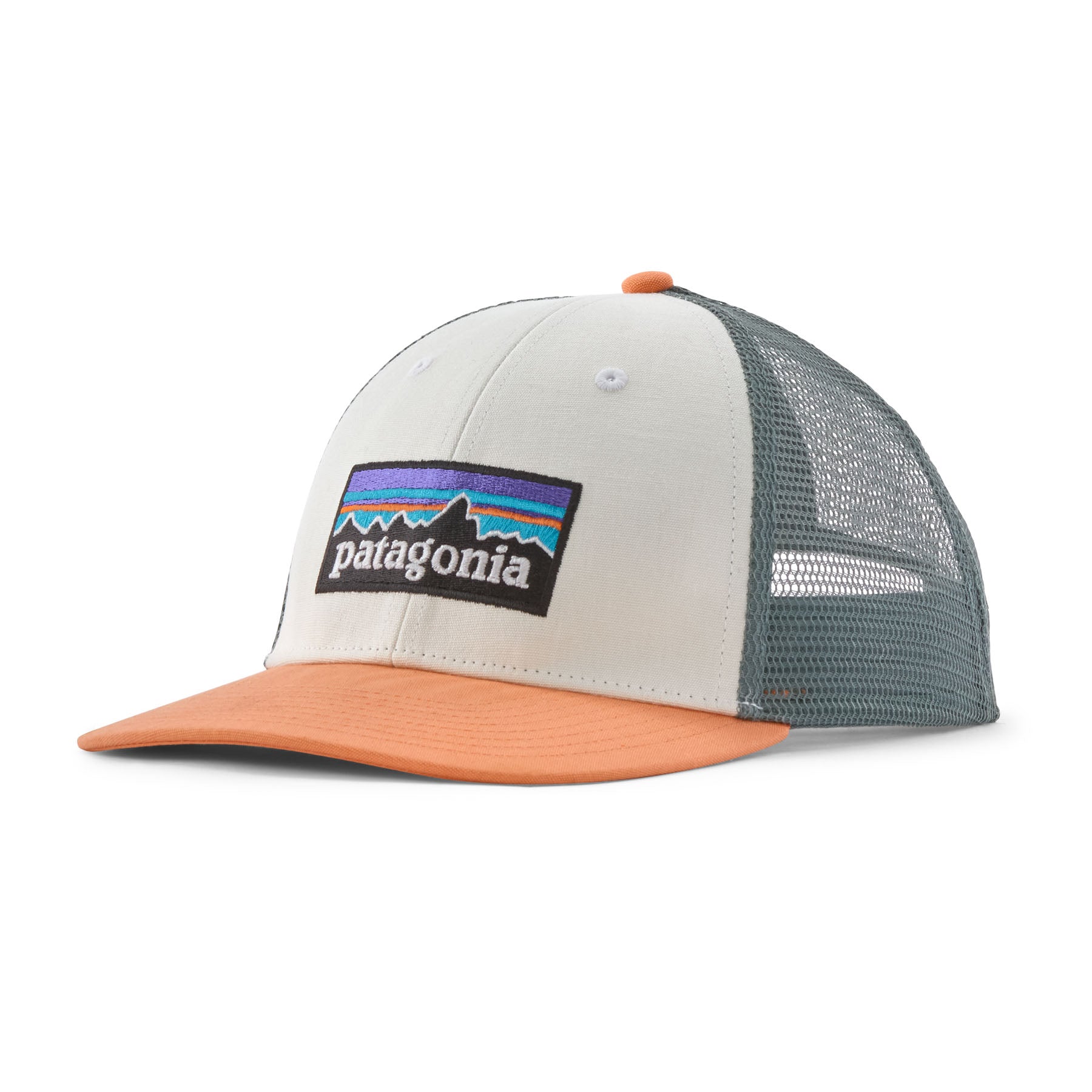 Patagonia P-6 LoPro Trucker