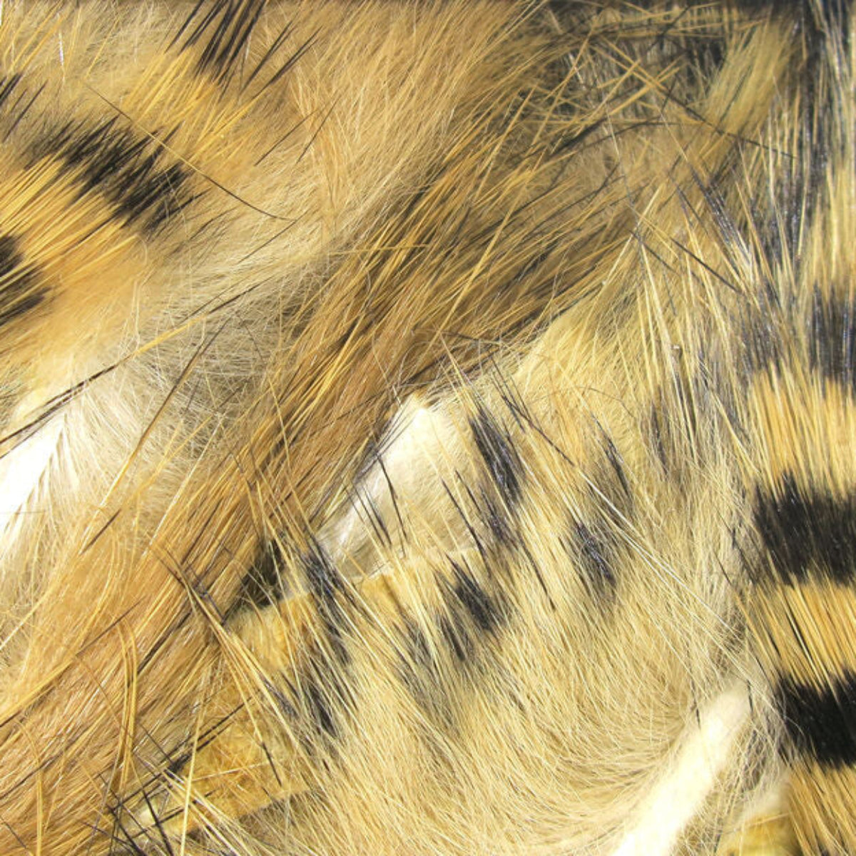 Barred Magnum Strips