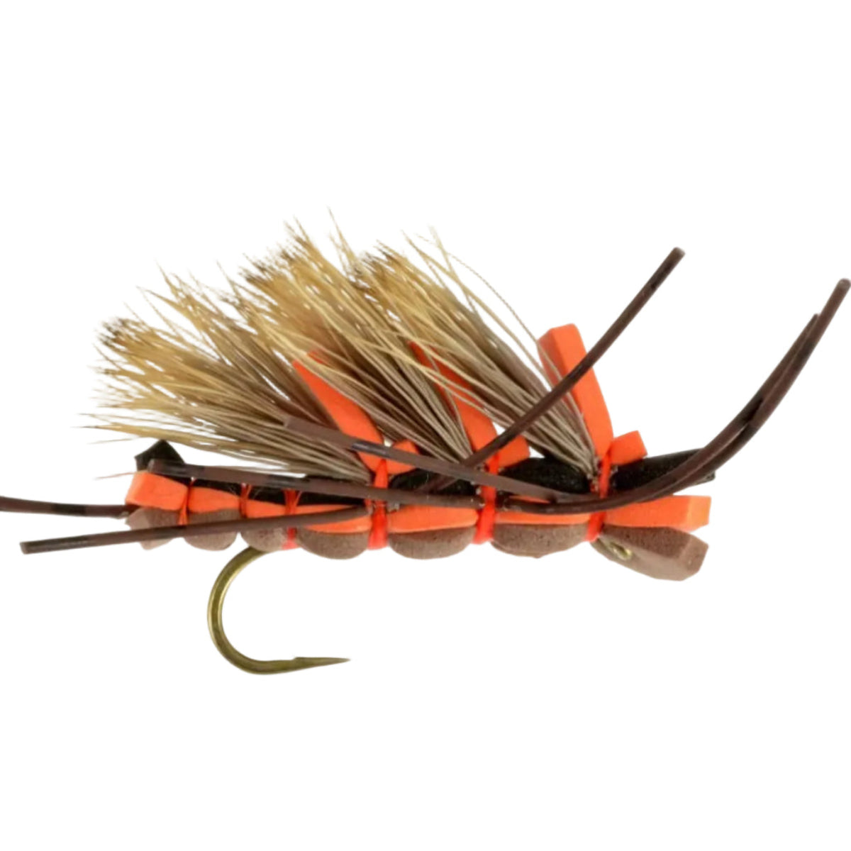 Gorilla Stonefly