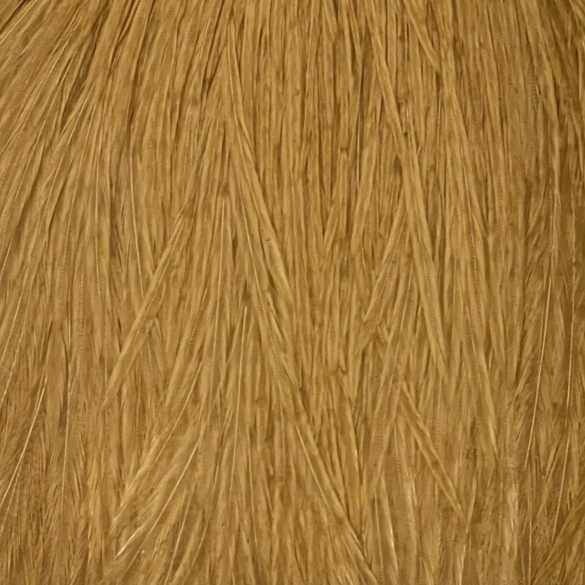 Keough Tyers Grade Cape