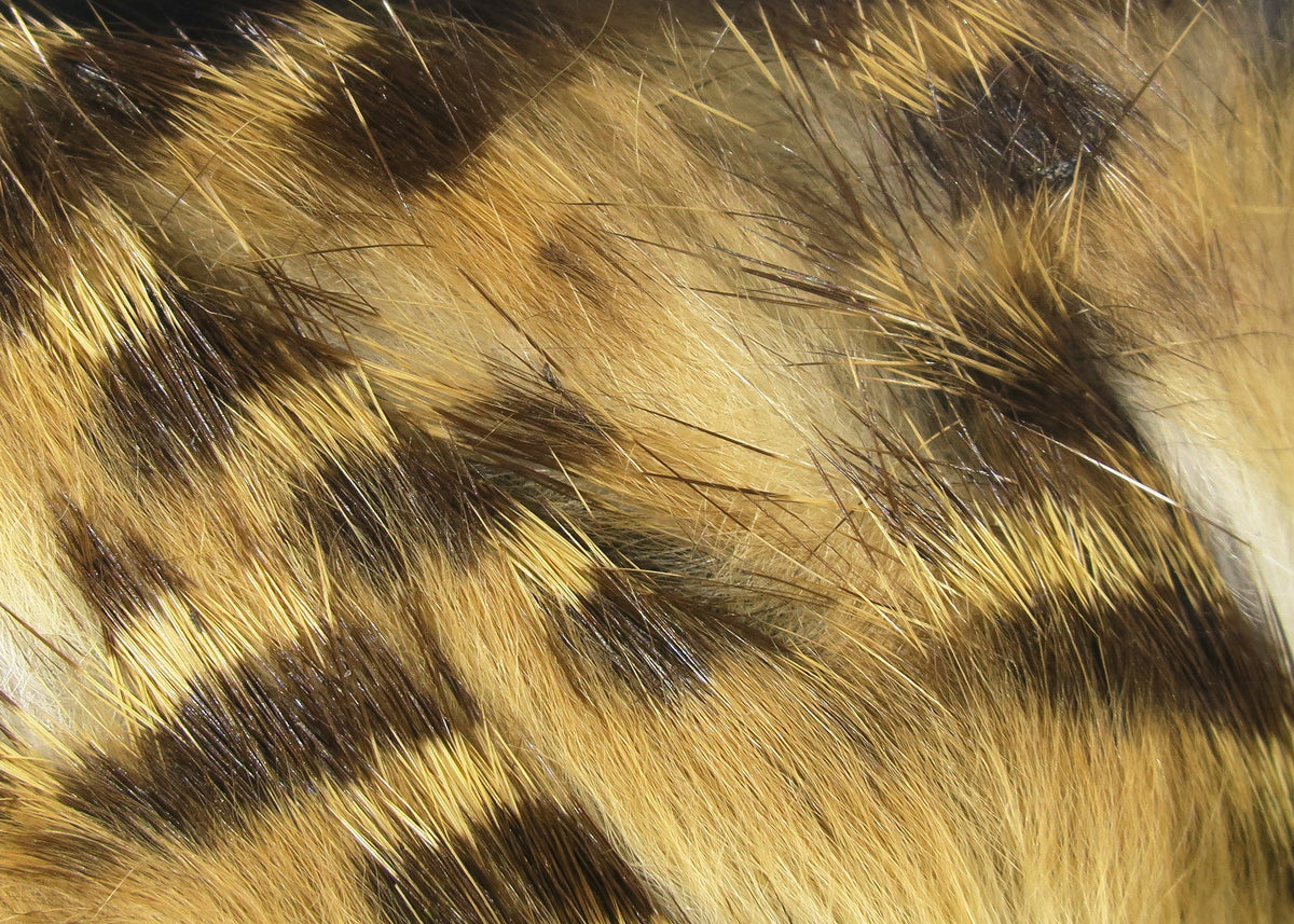 Barred Magnum Strips,