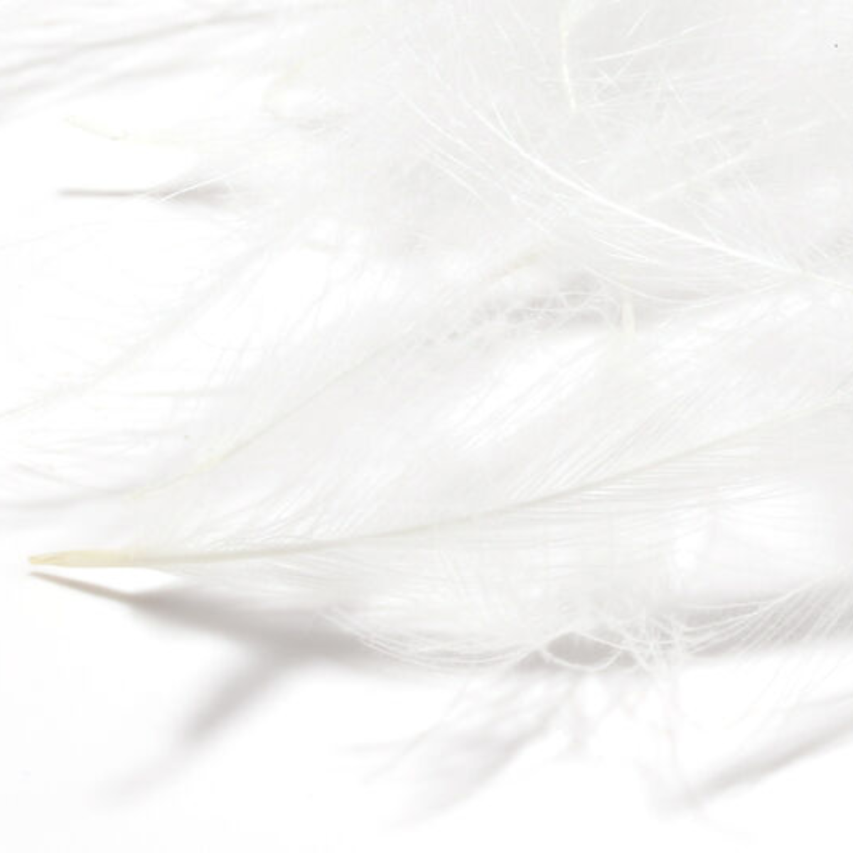 Hareline Cul De Canard 1gr