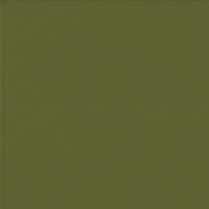 Olive color swatch