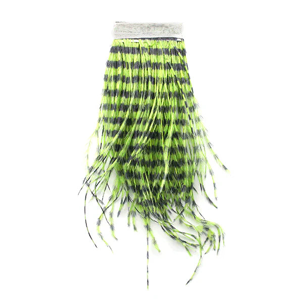 MFC Strung Barred Ostrich
