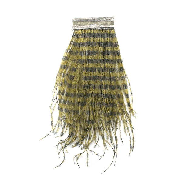 MFC Strung Barred Ostrich