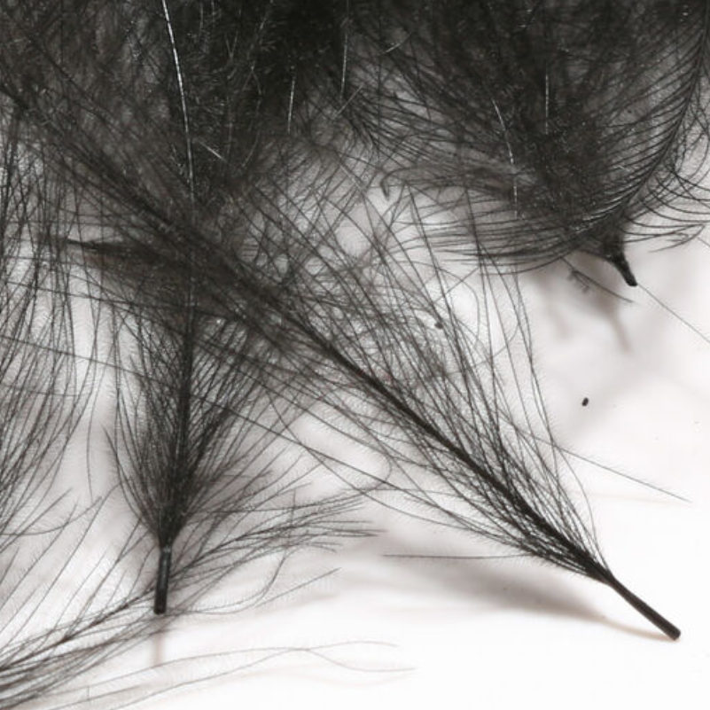 Hareline Cul De Canard 1gr