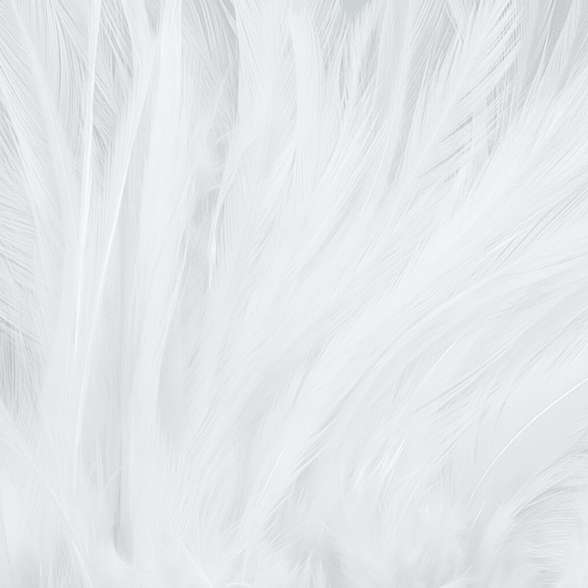 1OZ Strung Chinese Saddle Hackle
