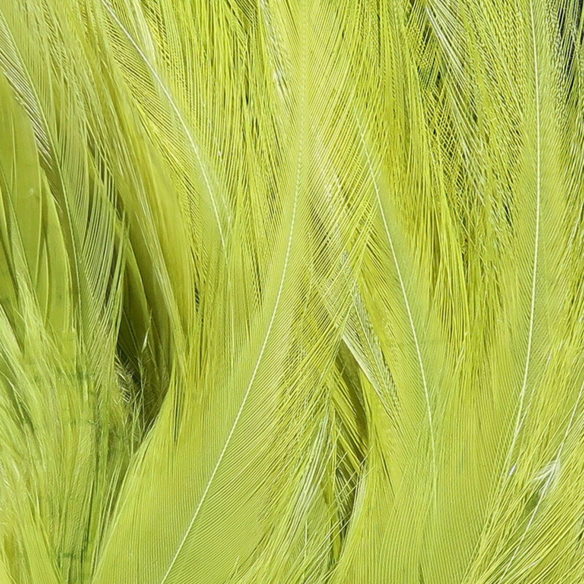 1OZ Strung Chinese Saddle Hackle