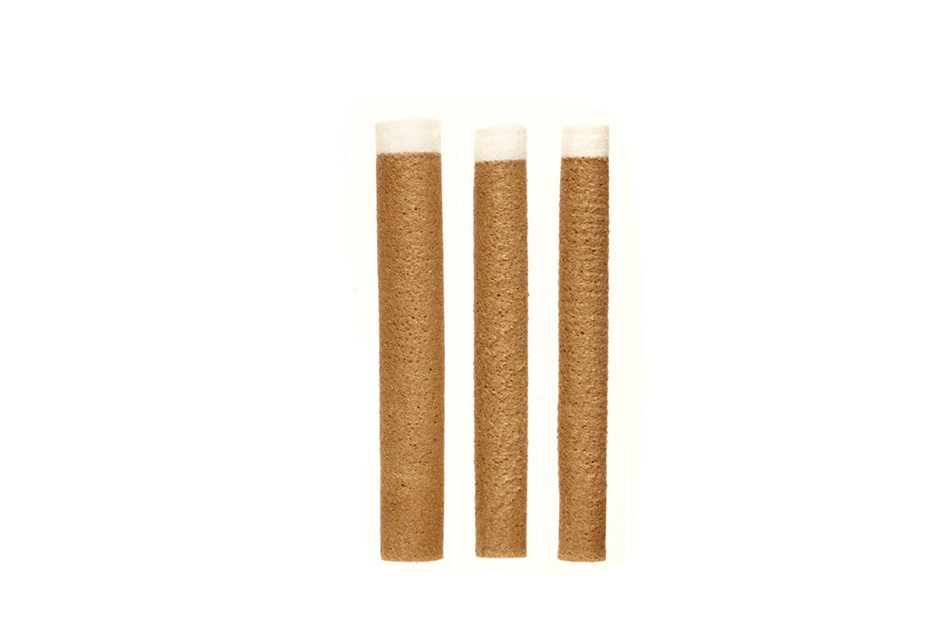 Ant Body Hard Cylinders