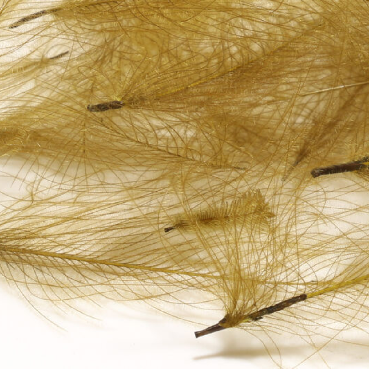 Hareline Cul De Canard 1gr