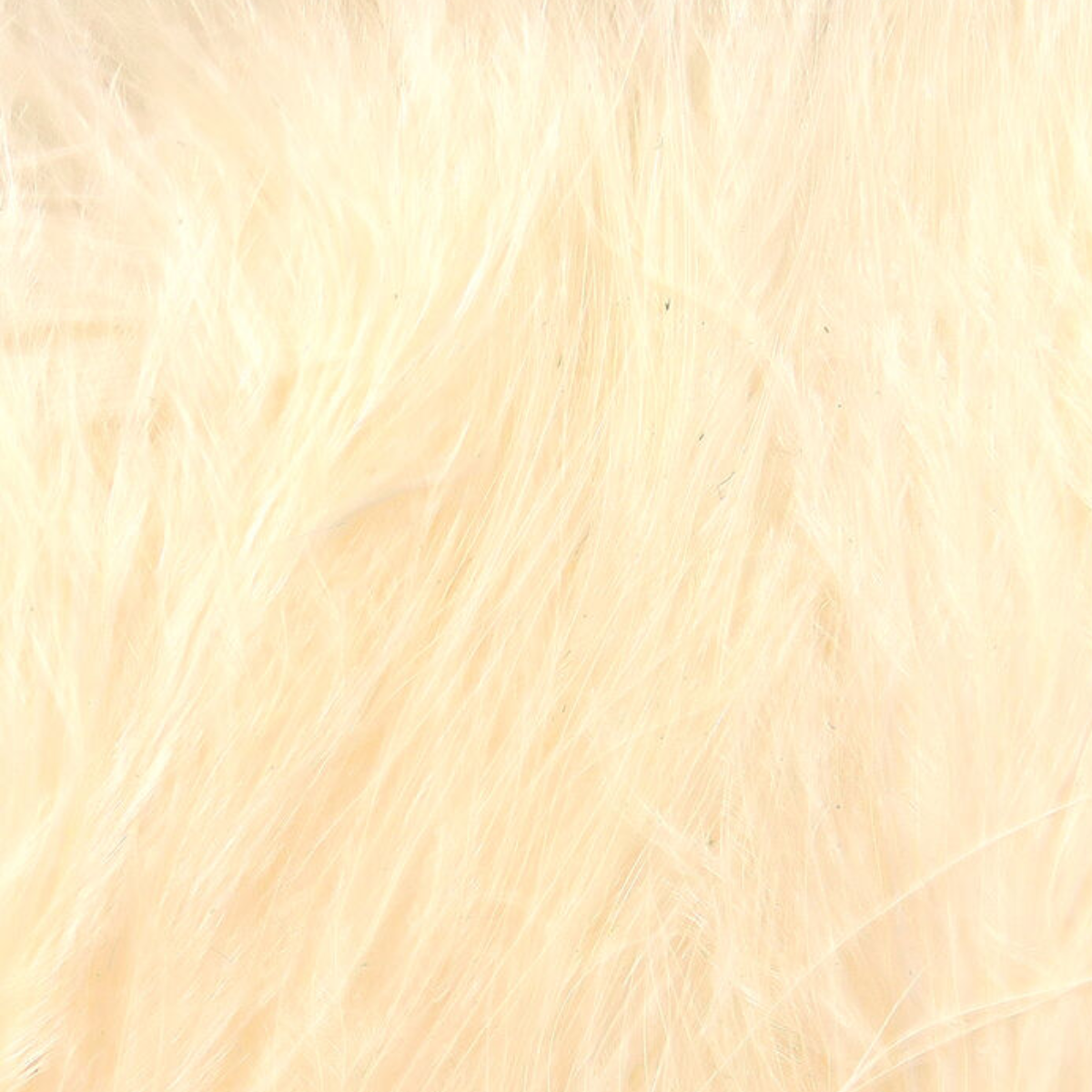 Strung Marabou Blood Quills