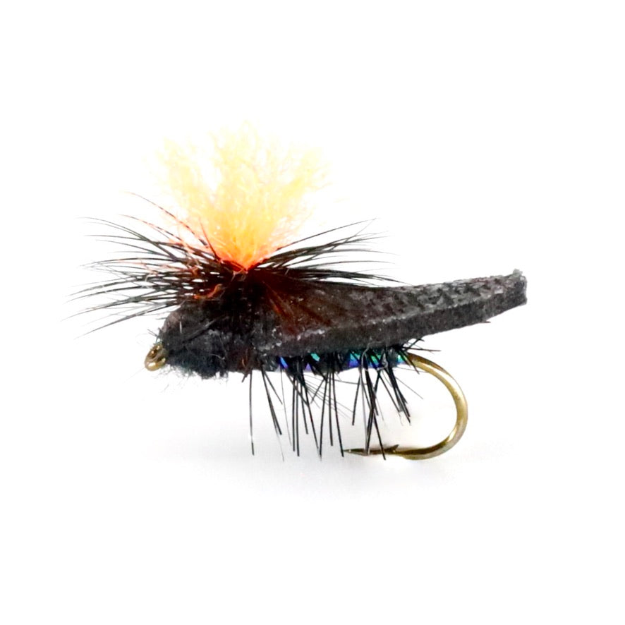 Rip Chord Caddis Black