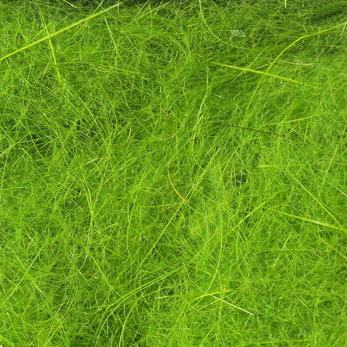 Hareline Dubbin, Hare's Ear