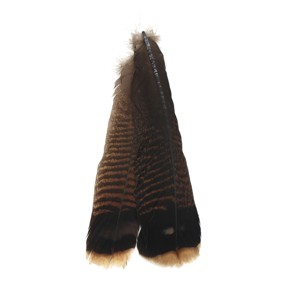 Hareline Cinnamon Tip Turkey Tail Feathers