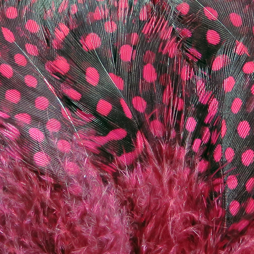 Hareline Strung Guinea Feathers