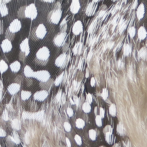 Hareline Strung Guinea Feathers