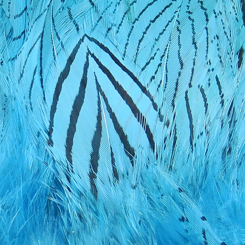 Hareline Silver Pheasant Feathers